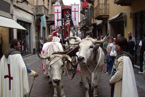 фестиваль тюфелей